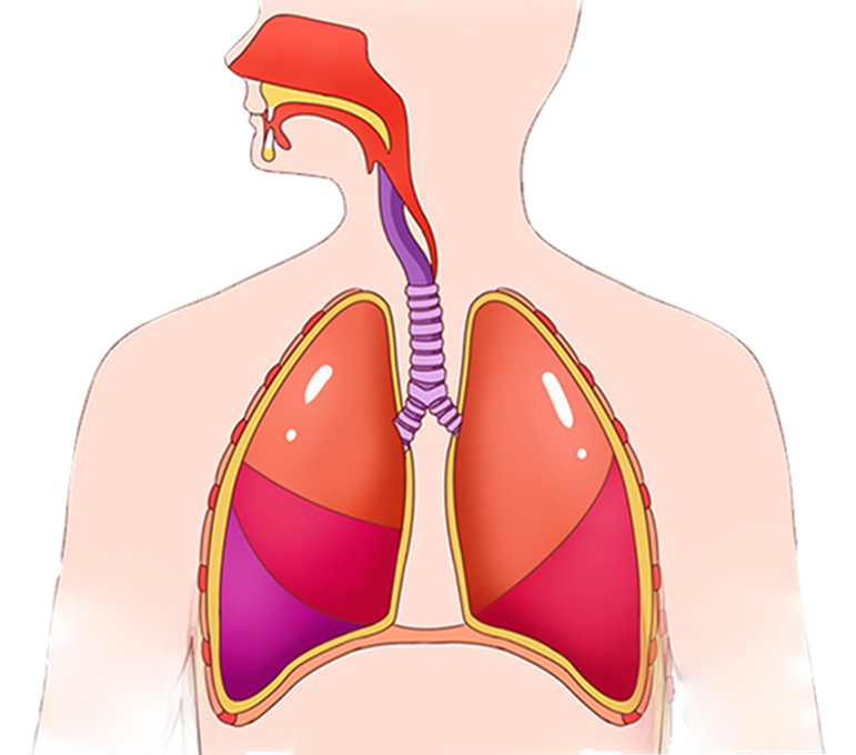 jackpot·(中国区)官方网站