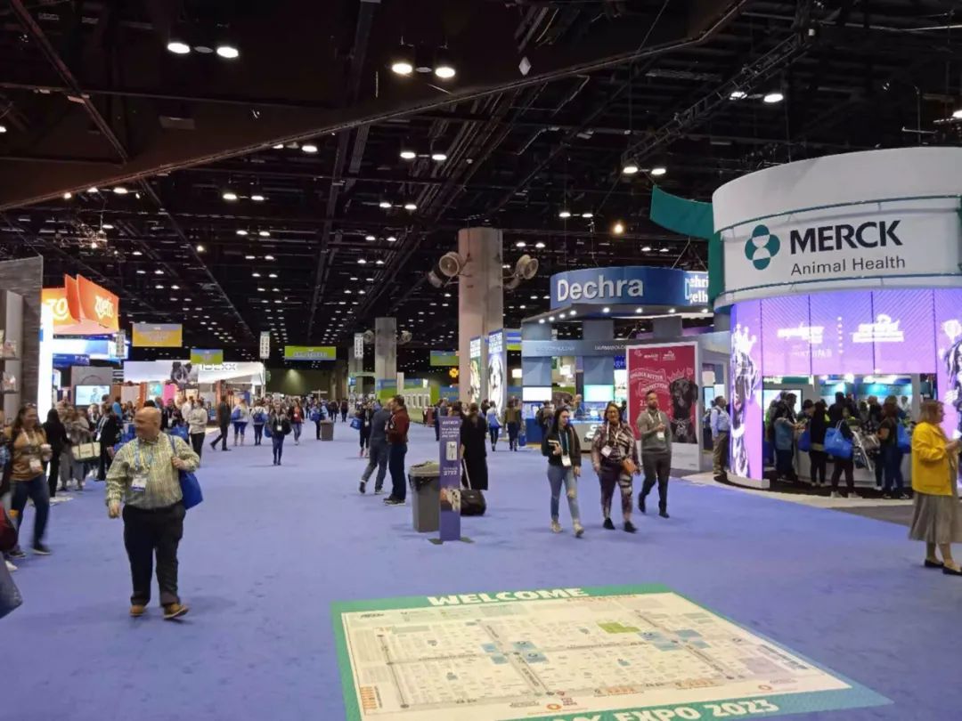 jackpot·(中国区)官方网站