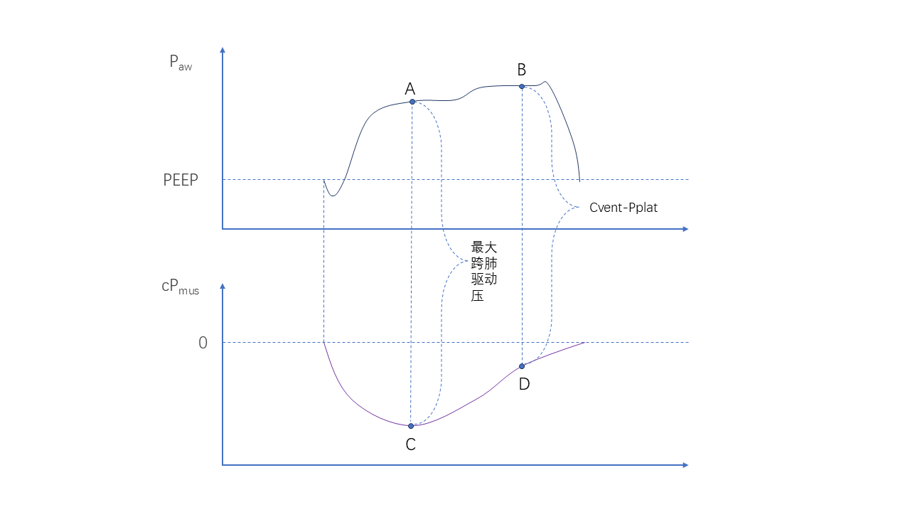 jackpot·(中国区)官方网站